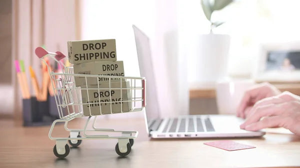 Unleashing the Profit Potential: Top 10 Most Lucrative Dropshipping Products for 2023