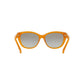 Coach HC8163-546311 Amber Cat Eye Grey Lens Plastic Sunglasses 725125978798