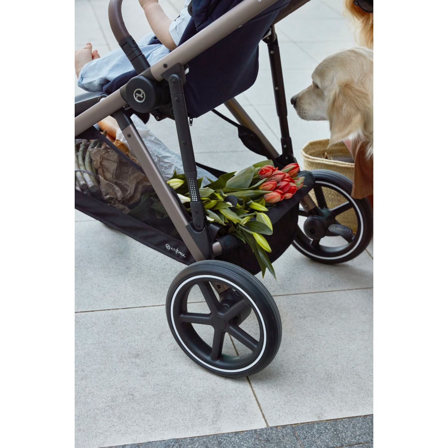CYBEX Gazelle S Complete Baby Infant City Shopper Stroller -