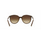 Giorgio Armani AR8043H 5288/13 Brown Gradient Full Rim Turtledove Women's Sunglasses 8053672291360