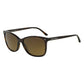 Giorgio Armani AR8059 5026M7 Polarized Tortoise Full Rim Rectangular Sunglasses 8053672393743