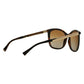 Giorgio Armani AR8069 5026T5 Polarized Gradient Brown Full Rim Sunglasses Frames in Havana 8053672479768