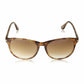Persol PO3042S-979/51 Striped Beige Square Brown Lens Men's Sunglasses 713132571422