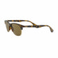 Ray-Ban RB4319-710/73 Tortoise Square Brown Lens Unisex 