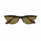 Ray-Ban RB4319-710/73 Tortoise Square Brown Lens Unisex Nylon Sunglasses 8053672994582