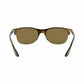 Ray-Ban RB4319-710/73 Tortoise Square Brown Lens Unisex Nylon Sunglasses 8053672994582